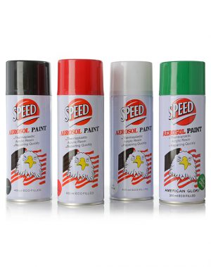 SPRAY PAINTS