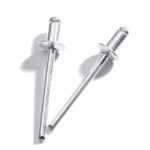 4.0 x 6mm Rivets