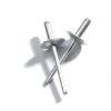 4.8 x 12mm Rivets LF