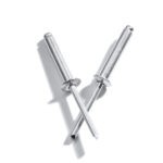 4.8 x 24mm Rivets